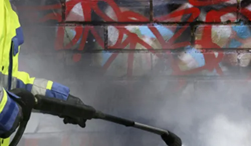 Paint Removal Service Co